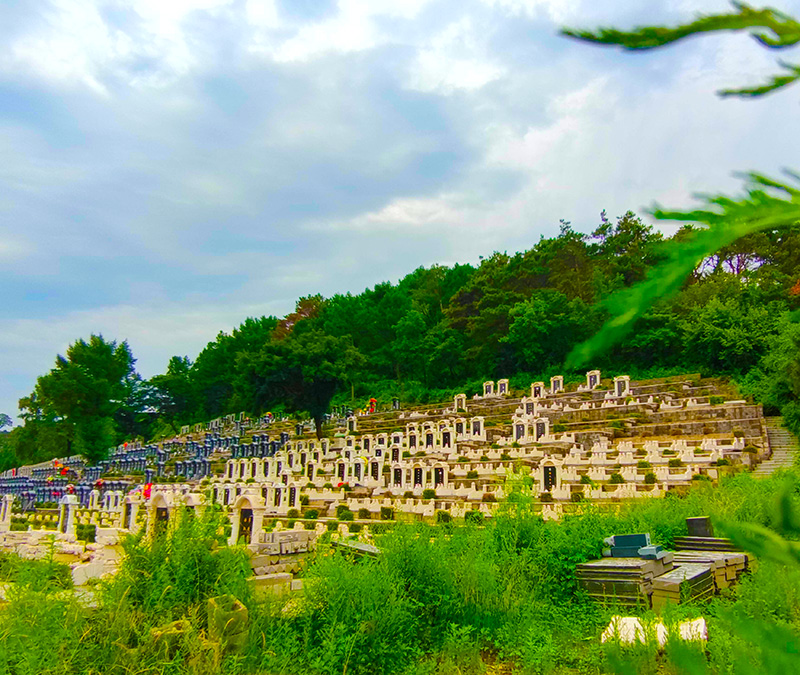 遼寧大河貝生態(tài)息園
